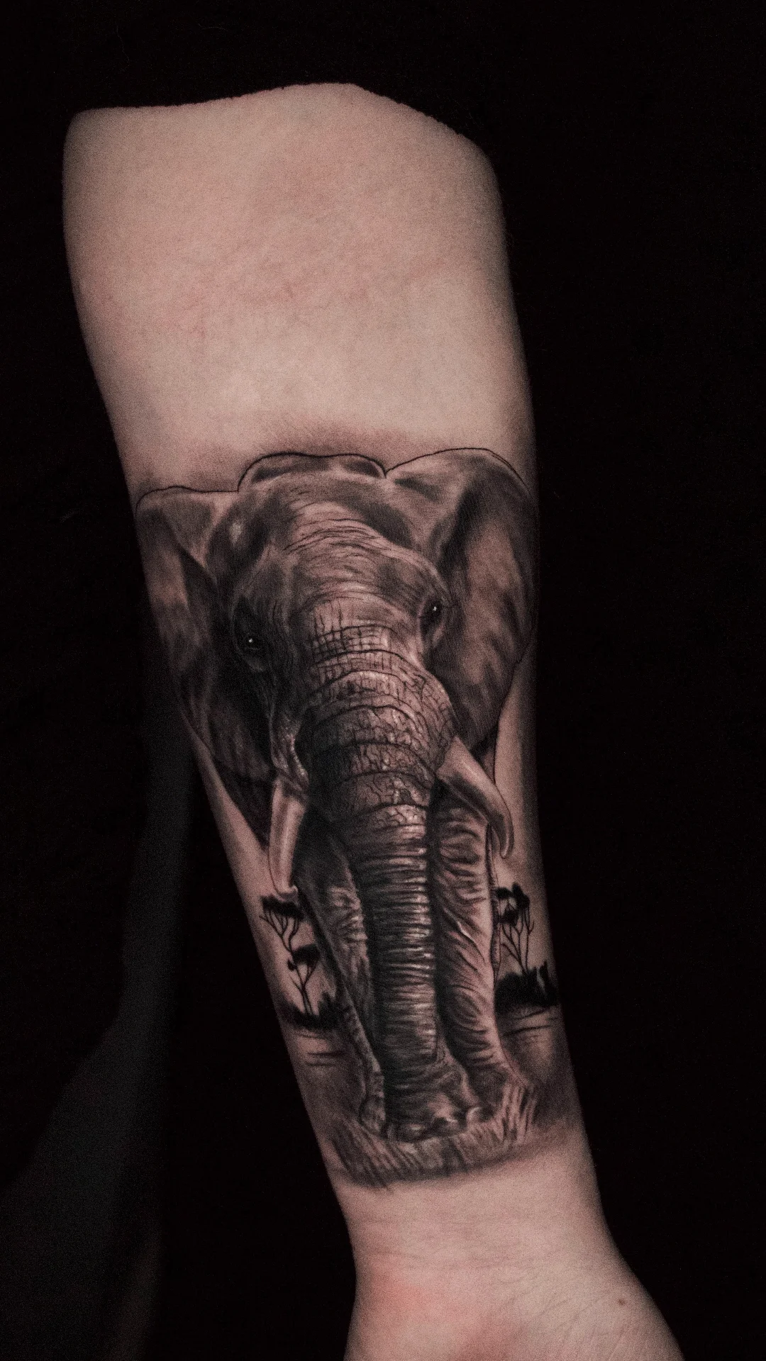 DSC00351_VSCO_VSCO-1080x1920